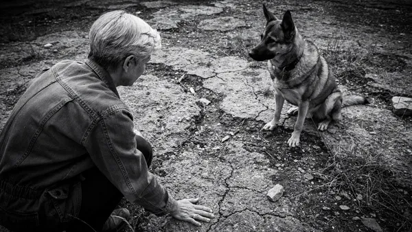 How Pet Owners and Animal Trainers Apply Body Language Principles